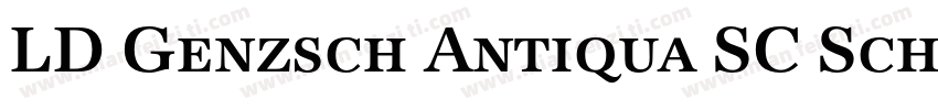 LD Genzsch Antiqua SC Schmalhalbfet字体转换